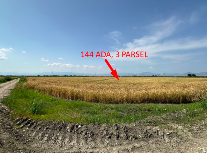 ADANA KOZAN'DA 95.210 M2 SATILIK TARLA